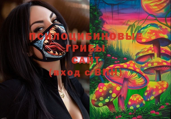 PSILOCYBIN Арсеньев