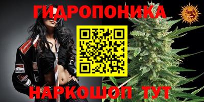 mix Аргун