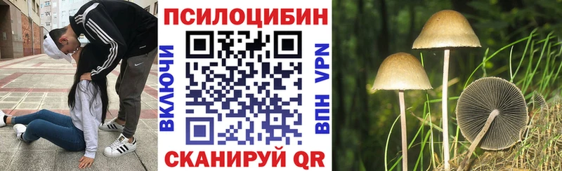 где продают   Аша  Псилоцибиновые грибы прущие грибы 