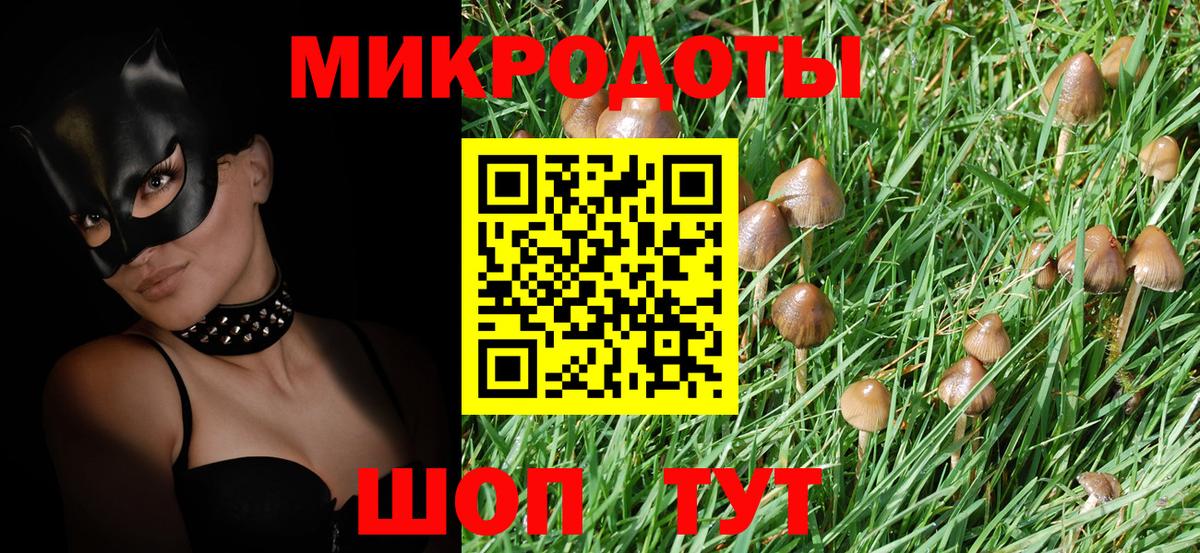 Галлюциногенные грибы Psilocybe Аша