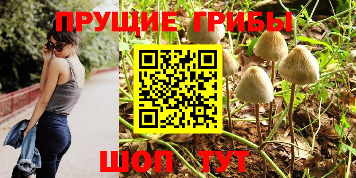 Псилоцибиновые грибы Psilocybine cubensis  Вход с VPN  Аша  Псилоцибиновые грибы прущие грибы 
