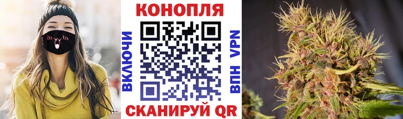 Бошки Шишки сатива  Аша 